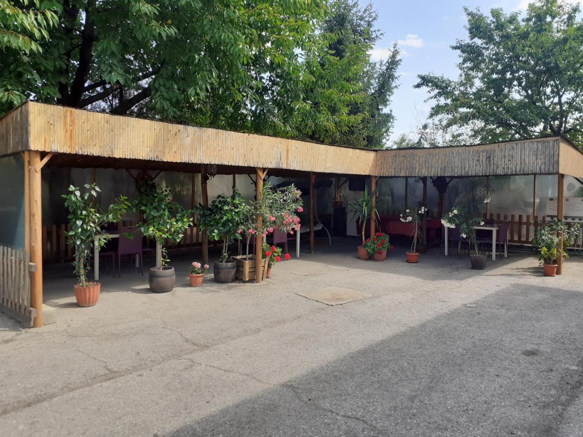 Guest House Edelvais Dve Mogili エクステリア 写真